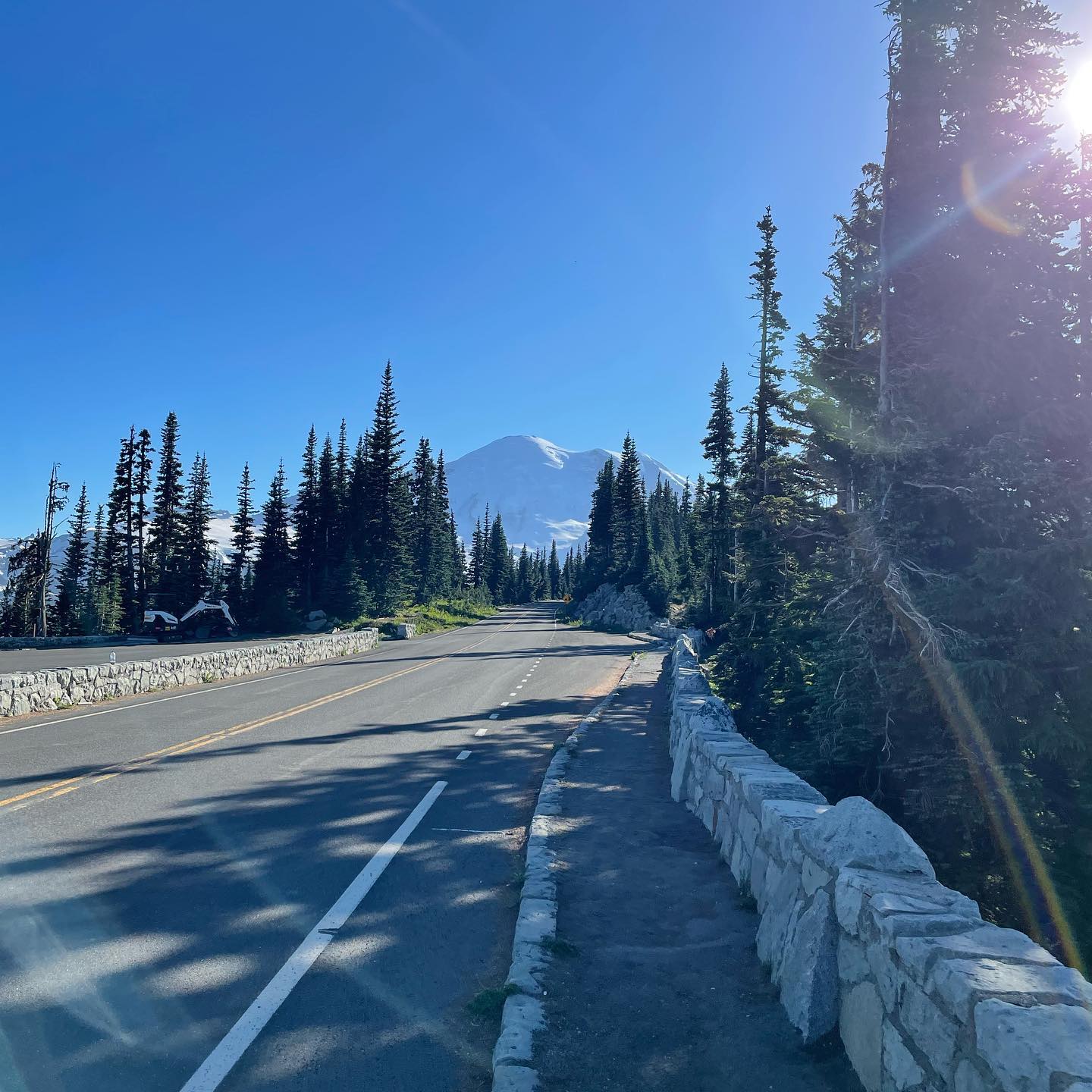 Mountain road lined with pine trees